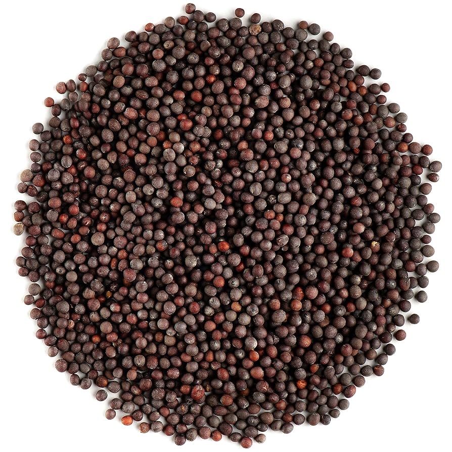 Enesar Mustar Seeds