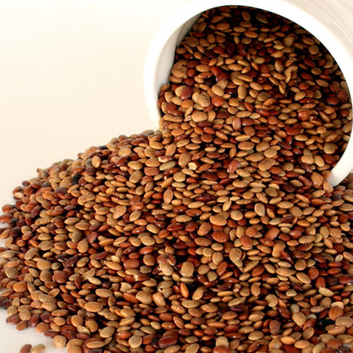 Nutrapoorna - Horse gram